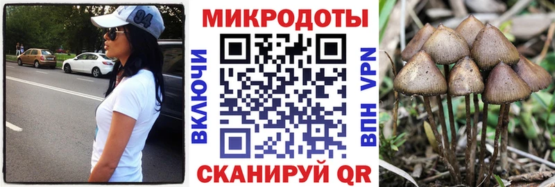 Псилоцибиновые грибы Psilocybine cubensis  Купить где  Нефтегорск 